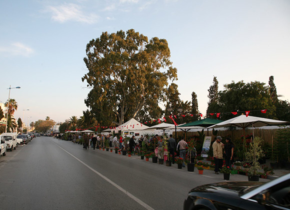 Hammamet Fete le Printemps